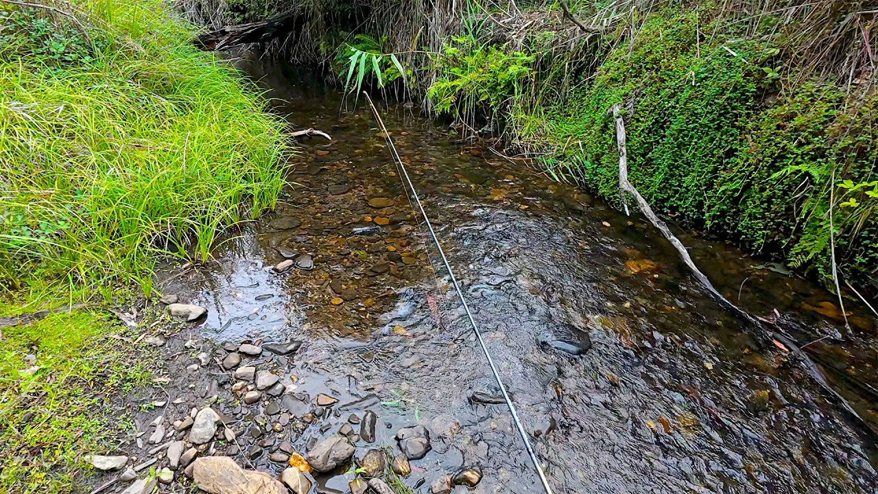 First Proper Trout Fishing Trip This Year