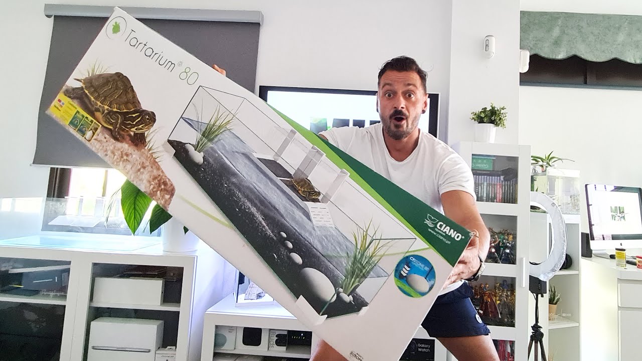 ME COMPRO UN ACUARIO PARA TORTUGAS GIGANTE !