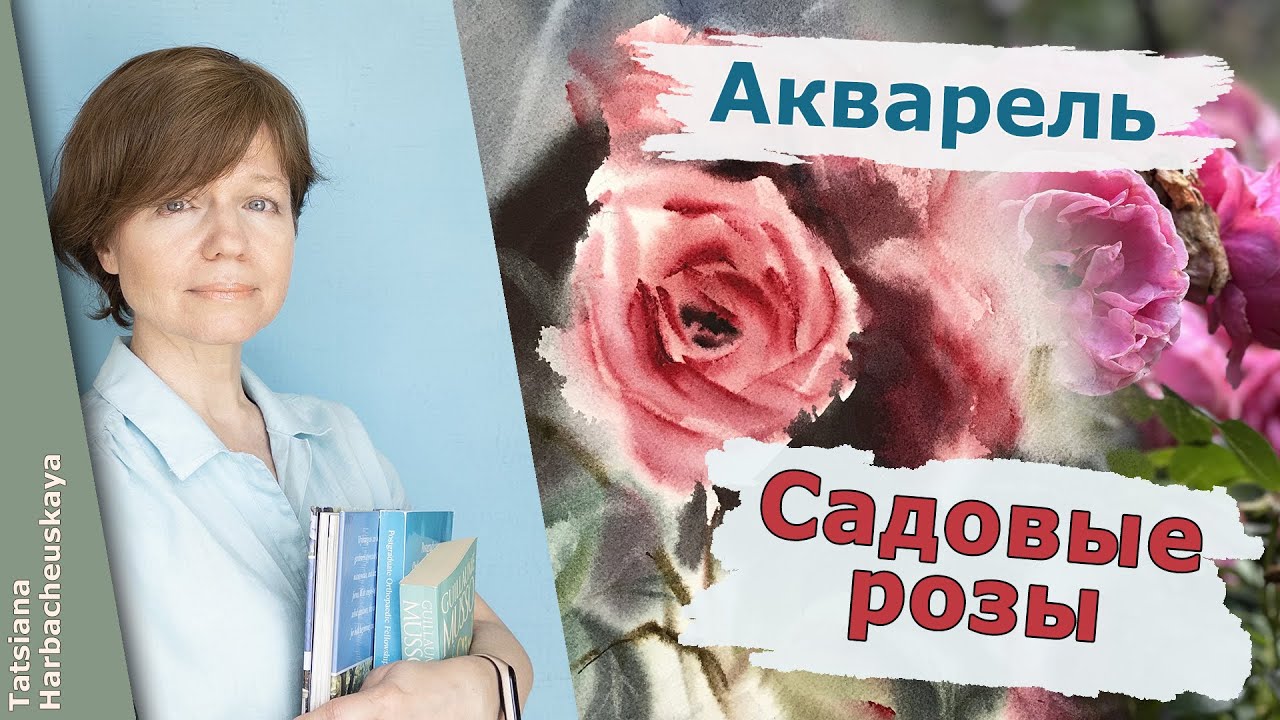 Садовые розы акварелью
