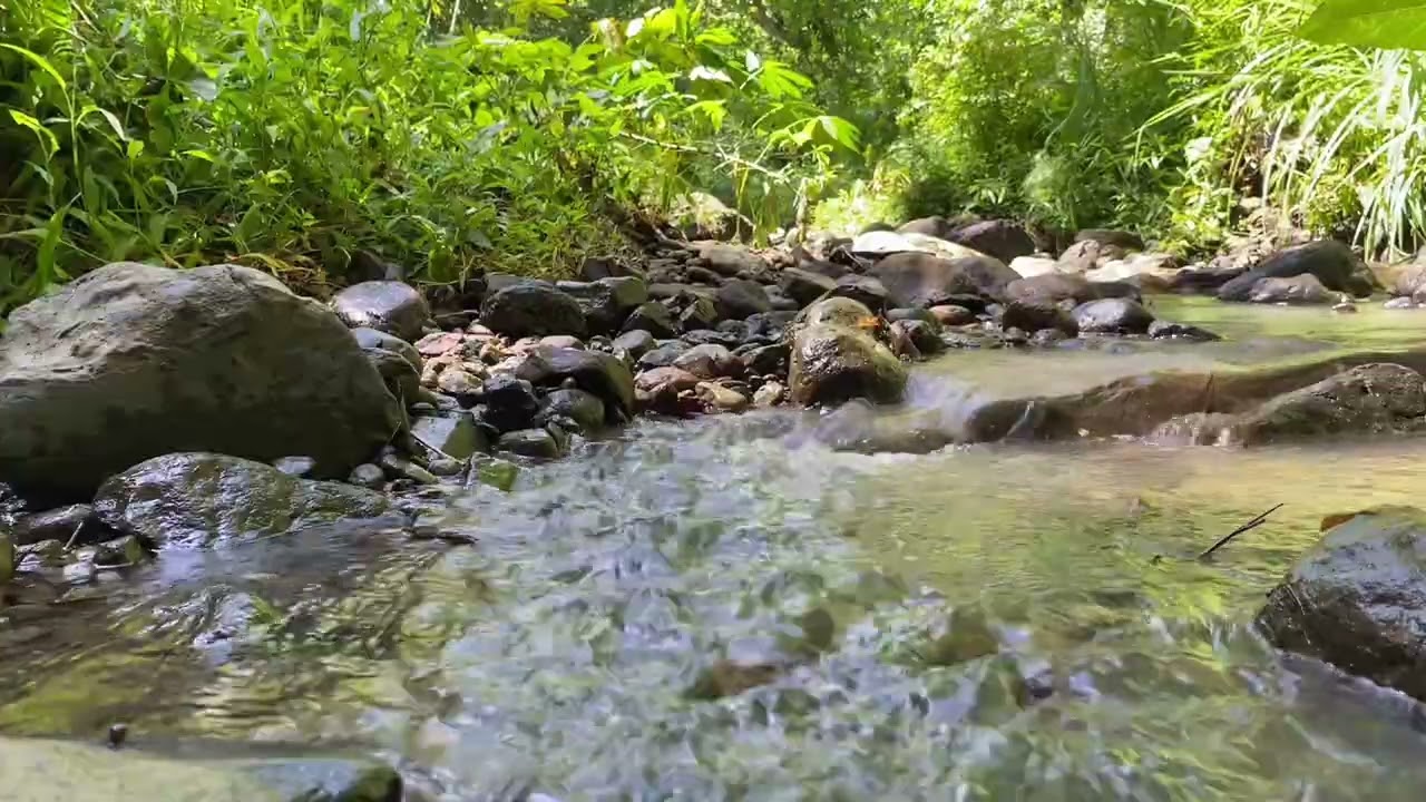 1Hour of Trickling Water Guaranteed to Help You Sleep, Relax or Study