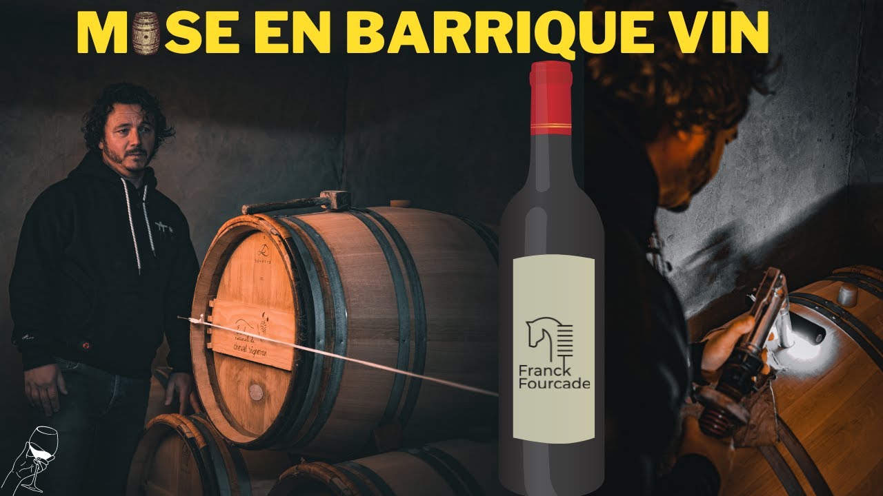 MISE EN BARRIQUE DU VIN DE FESTA  🍇🍷