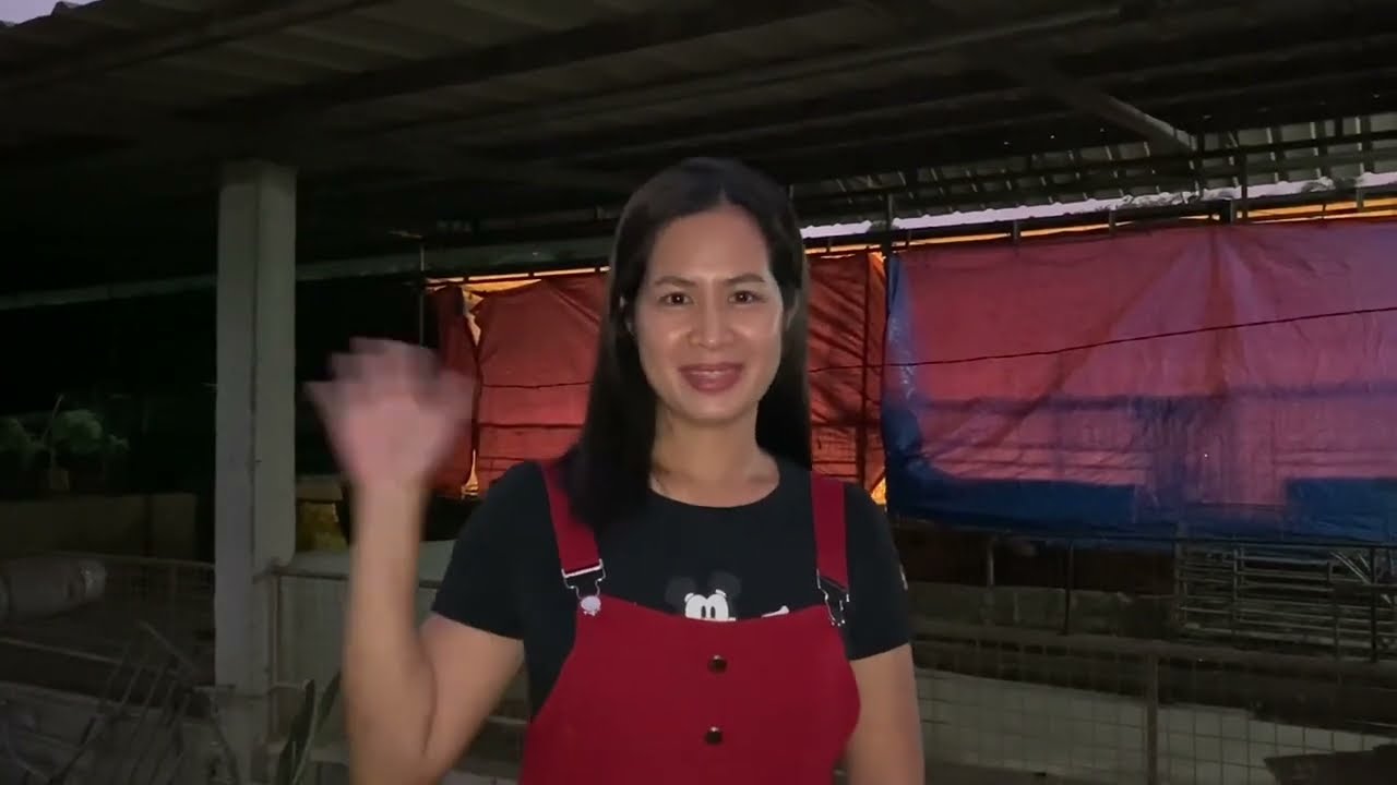 Paano kami nag umpisa mag alaga ng Baboy?