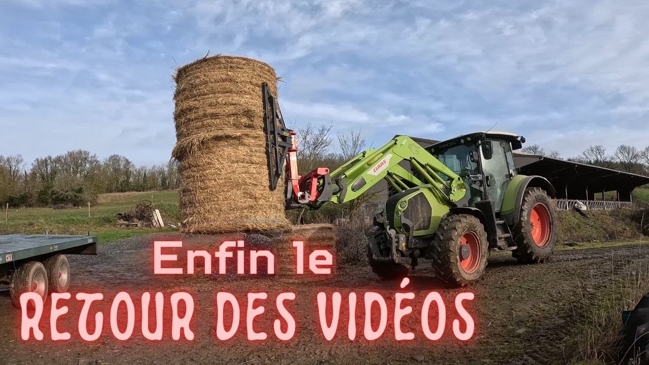 👉 On reprend les vidéos à la ferme : paillage, foin et traite 🐄🚜