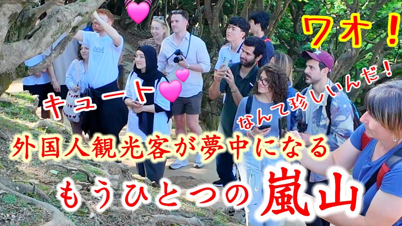 外国人観光客が夢中になるもうひとつの嵐山、そして絶景!行ってきた/大人気のおサルスポット京都【特別版】
