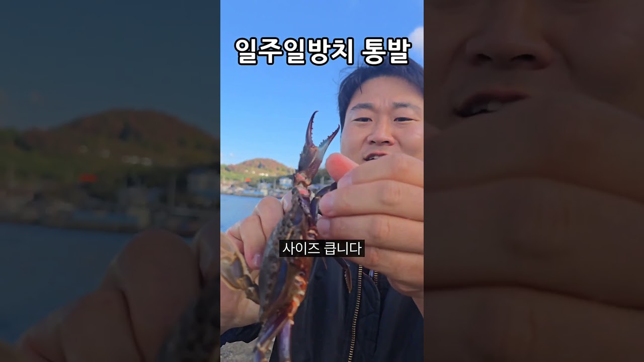 일주일 방치 통발 결과#통발 #통발낚시 #박하지