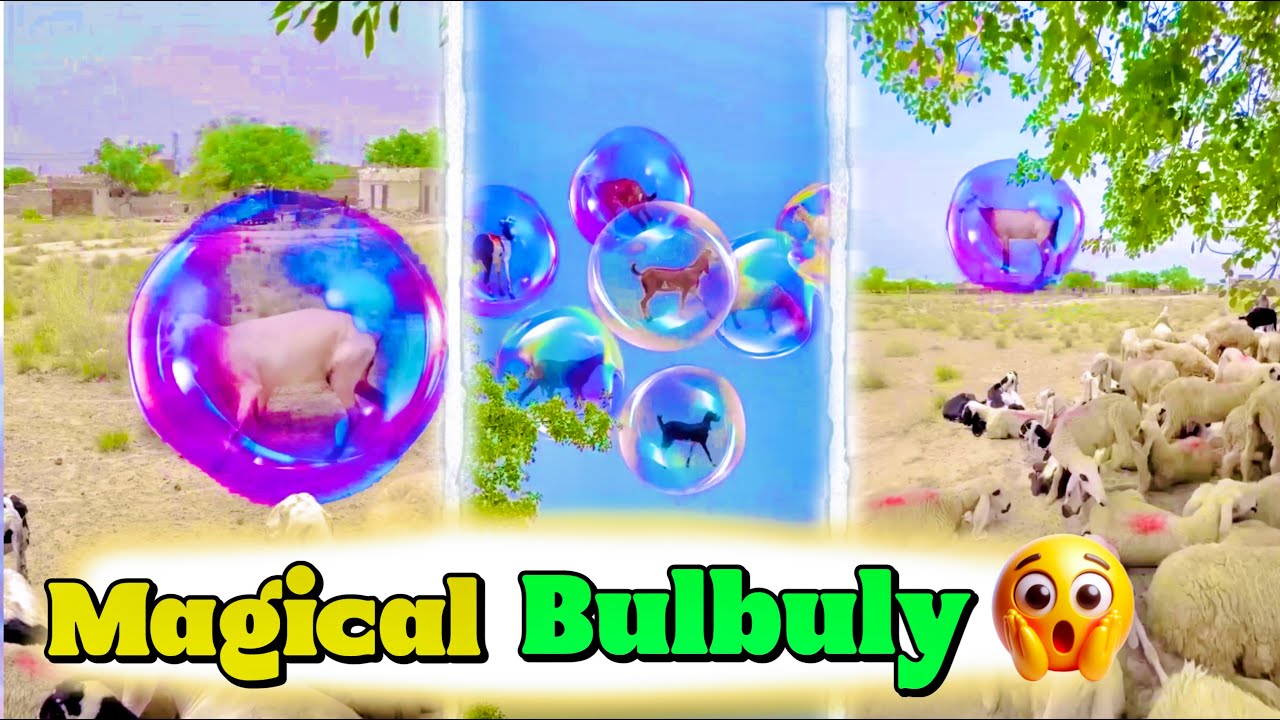 Magical Bulbuly 😲Comedy Video | LQP Production