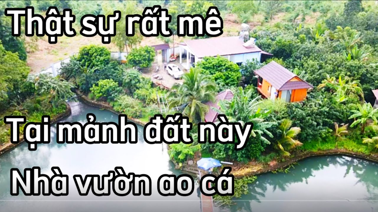 Nhà vườn ao cá bước chân vào đây là không muốn về vì quá đẹp tại đồng Nai với giá 6ty5