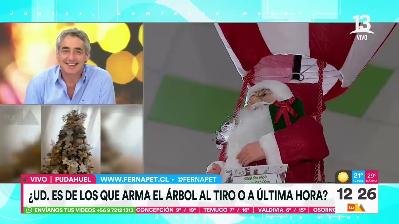¿Ya tiene árbol de navidad? Conozca sus valores! | Tu Día | Canal 13