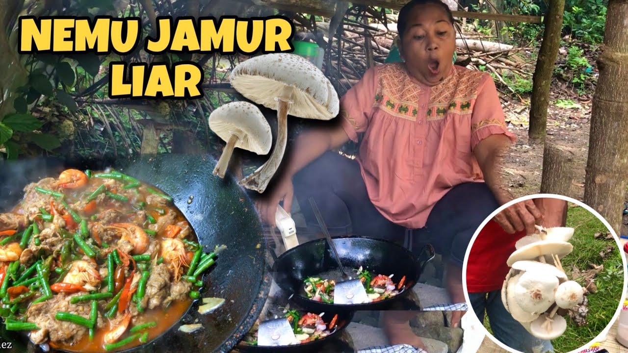 JAMUR JUMBO DAPAT DARI SAWAH || LANGSUNG DI MASAK BANUNG ‼️