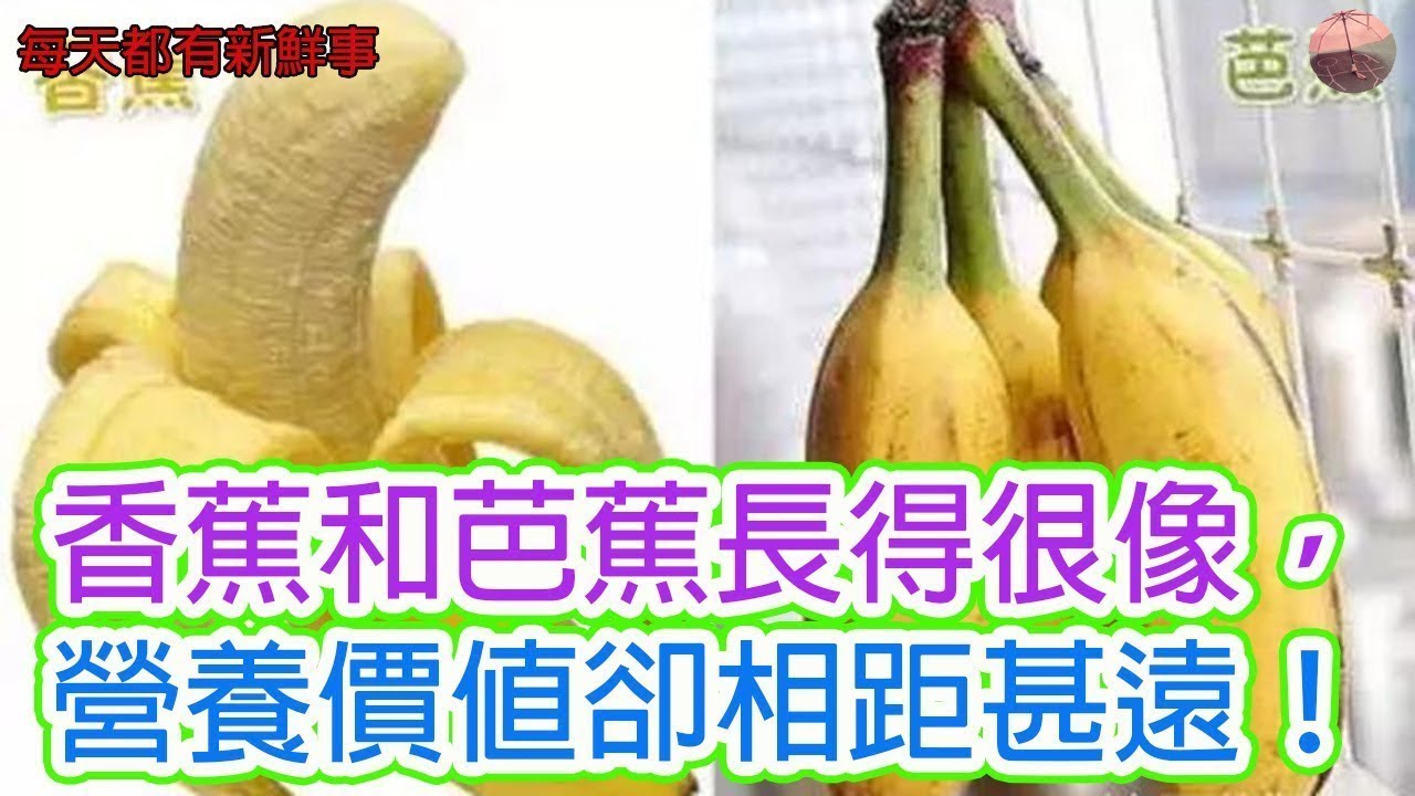 香蕉和芭蕉長得很像，營養價值卻相距甚遠！！你吃對了嗎？ | 日常健康 |