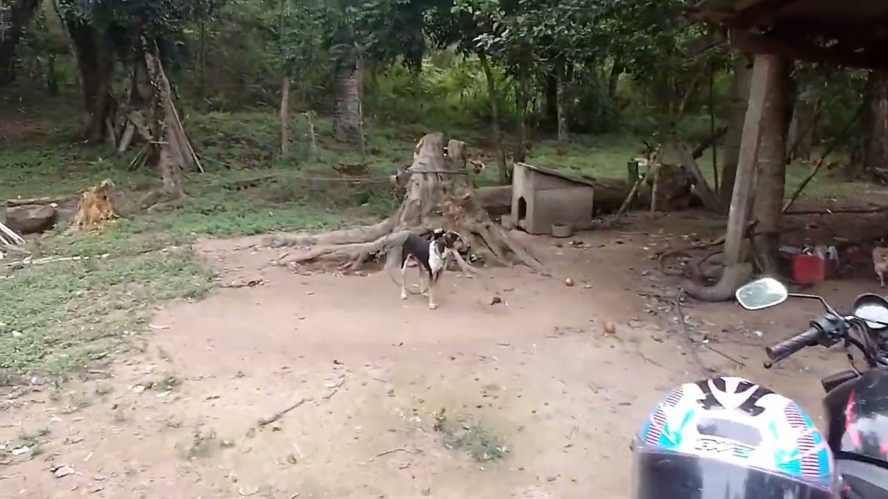 Nosso  fim  de  semana foi   sempre assim com a  família e amigos 🤝🏻