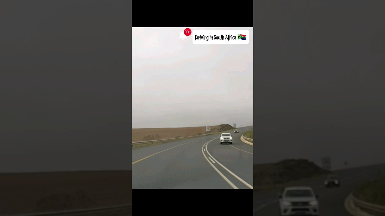 N2 Highway Drive, South Africa 🇿🇦 follow for daily video #shorts #southafricatoday #gardenroute #N2