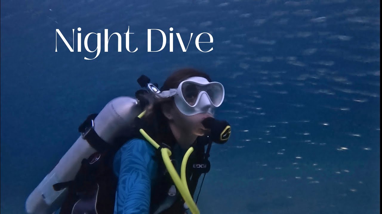 Saturday vlog: dog beach and night dive