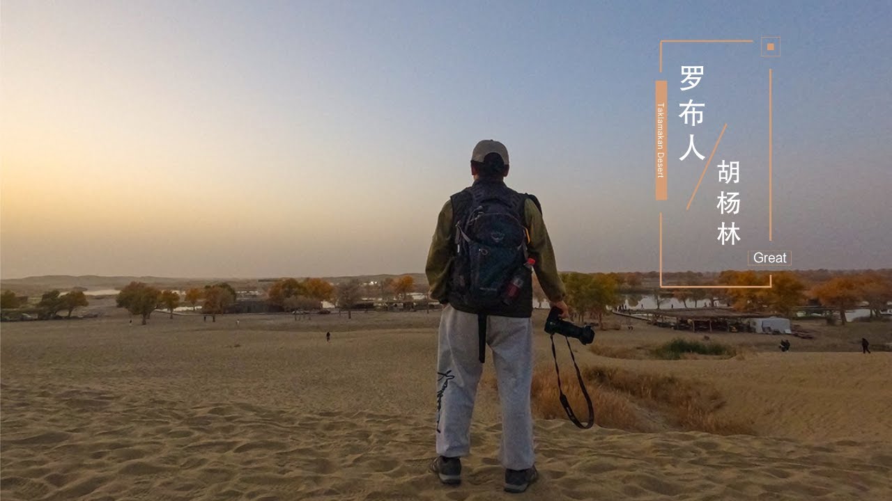 在新疆尉犁罗布人村寨看灿烂金秋。| 金色胡杨林 | 塔里木河 | 塔克拉玛干沙漠 | 罗布人故乡 | tourist