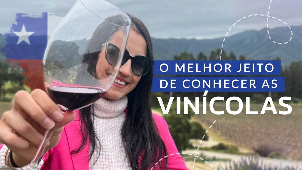 SANTIAGO CHILE 2025: MELHORES VINÍCOLAS | ONDE COMPRAR VINHOS | DEGUSTAÇÃO DE VINHOS E MUITAS DICAS