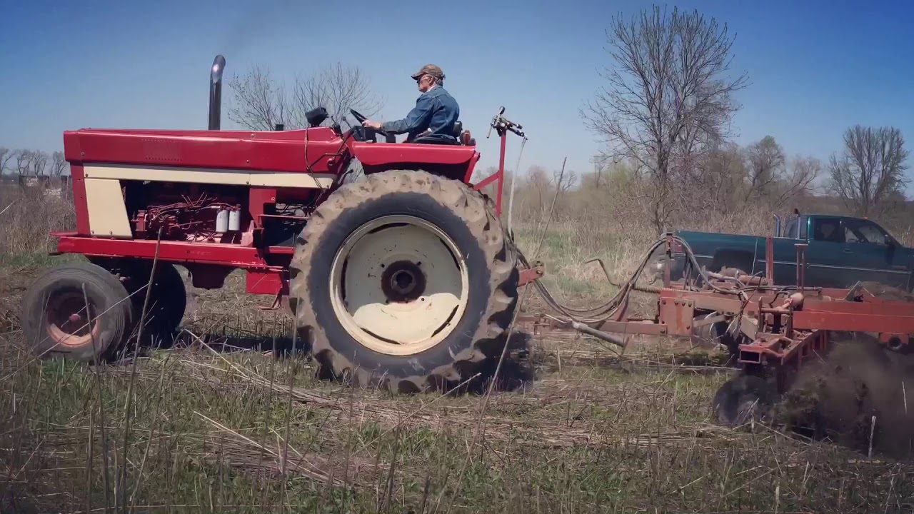 International 1066 with Disc in the Field - Operation Hobby Farm