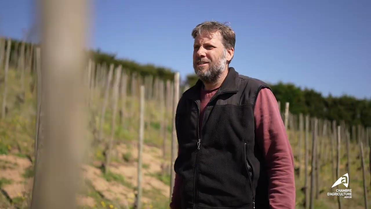 🌱 Le groupe DEPHY Viticulture - Vallée du Rhône Nord 🌱