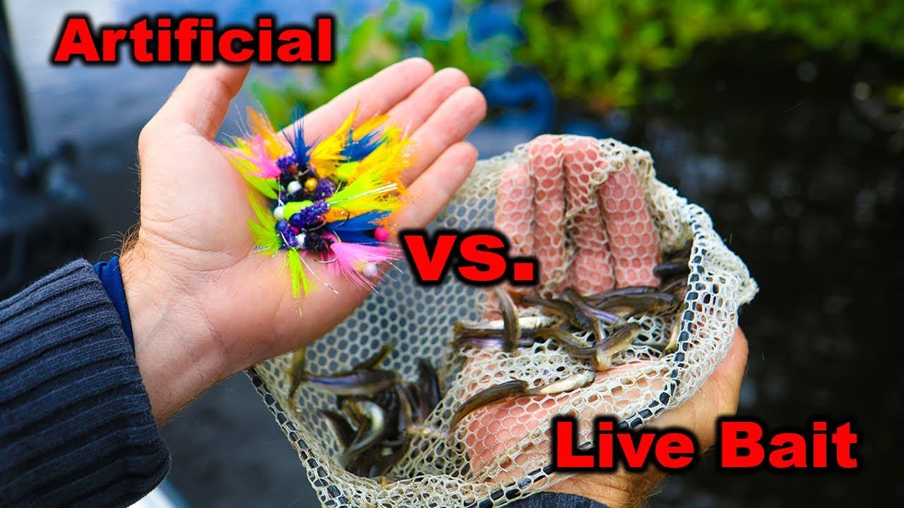 Artificial Vs Live Bait!! What Will WIN?!? | Jiggin' With Jordan