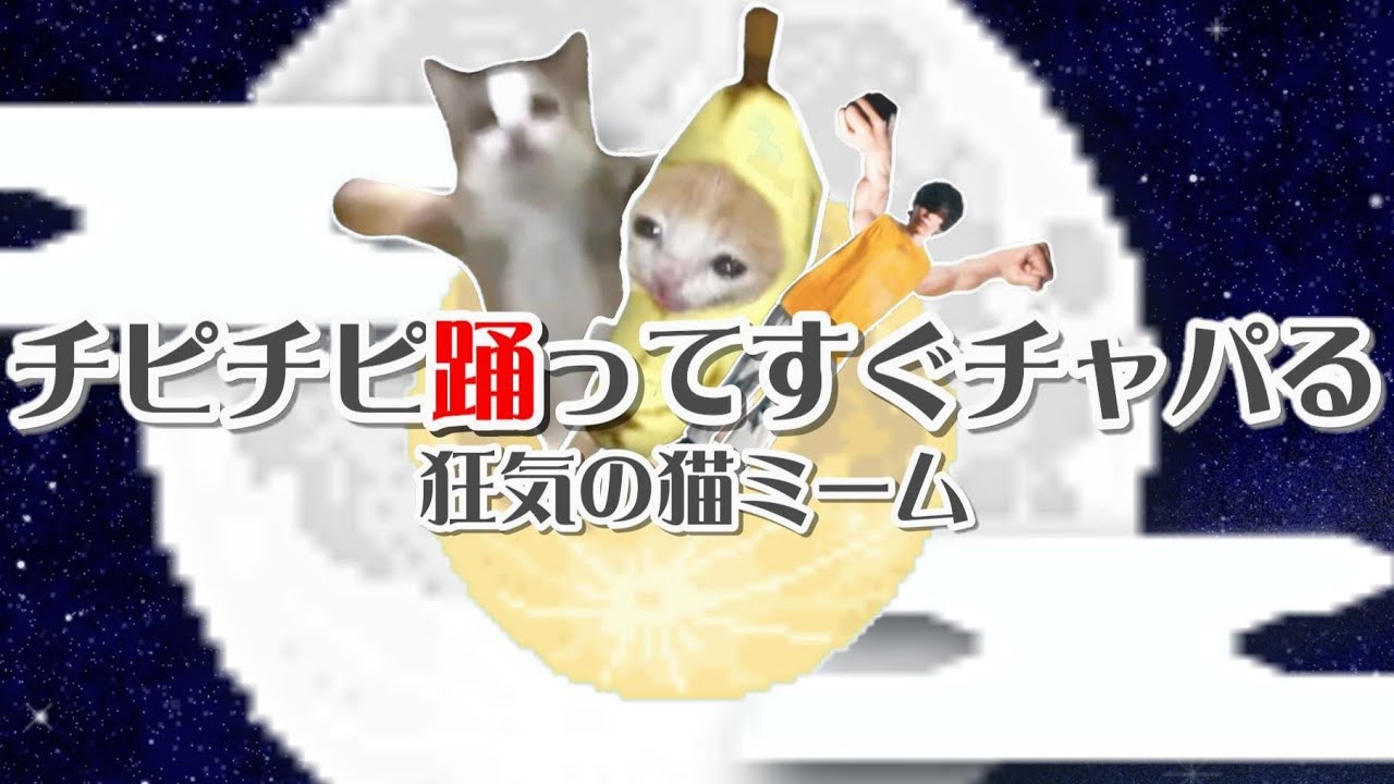 チピチピ踊ってすぐチャパる～狂気の猫ミーム【東方×猫ミーム×音MAD】