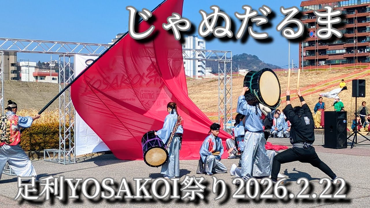 【じゃぬだるま】太鼓＆よさこい_足利YOSAKOI祭り2026.2.22