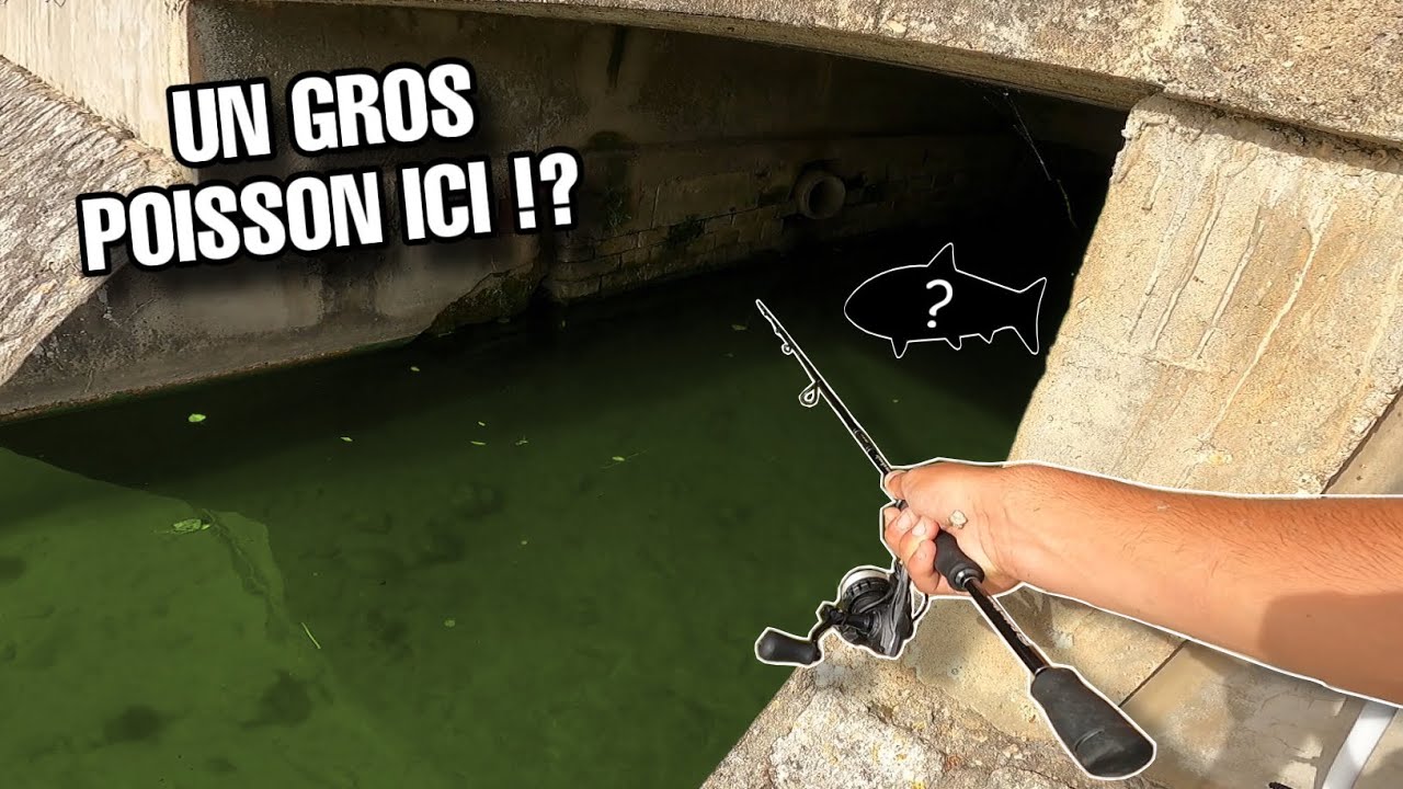 Ce TUNNEL SOMBRE avait l’air INTÉRESSANT à PÊCHER ! Street Fishing à VIERZON