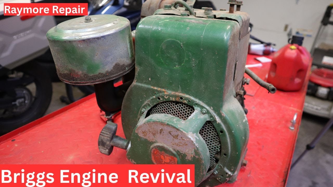 8 HP Briggs and Stratton Revival
