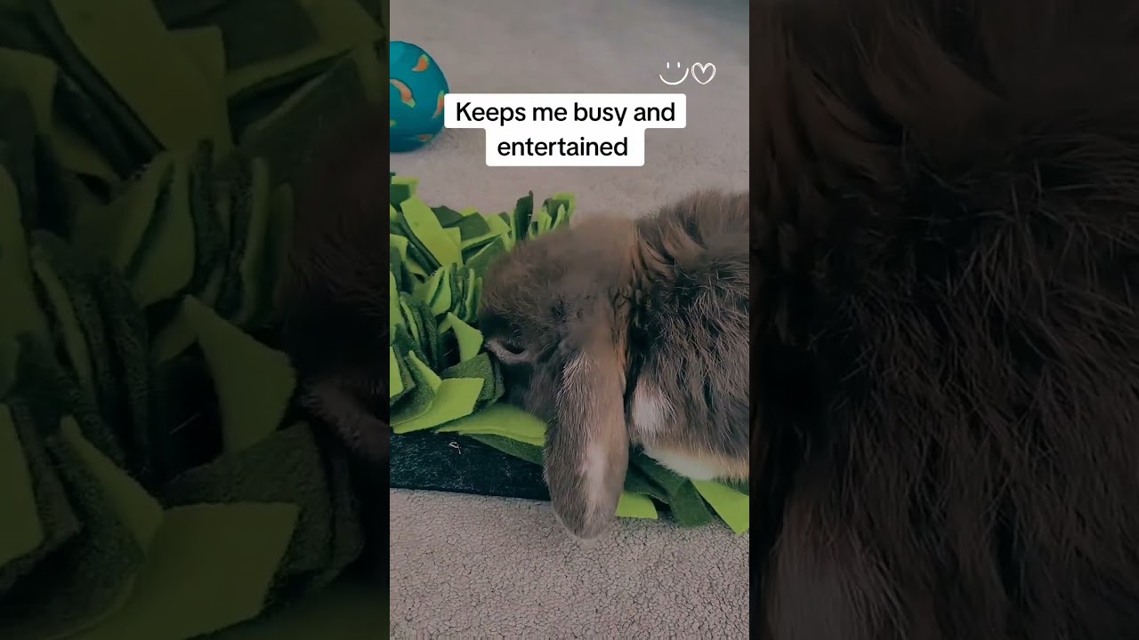 I just love my snuffle mat. It's great for bunny's keeping us entertained
