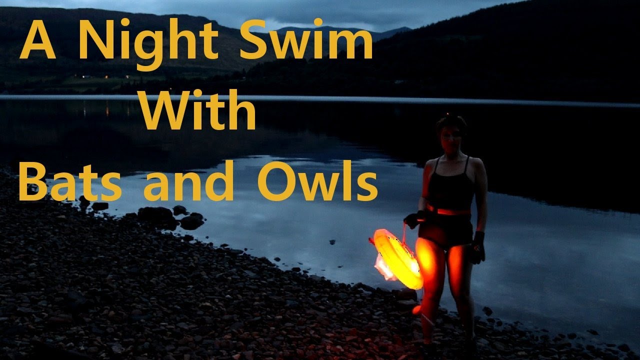 Loch Tay Night Swim: A Magical Encounter with Bats and Tawny Owls