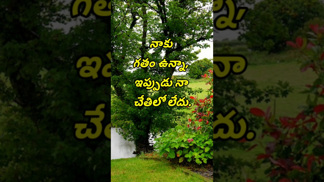 Manchi matalu #3844 | neethi vakyalu | telugu sukthulu | top matalu | quotations | jeevitha satyalu