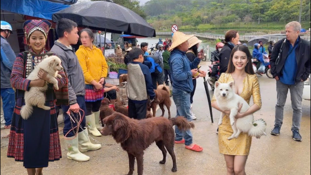 Explore the Unique Dog Market in Northwest Vietnam