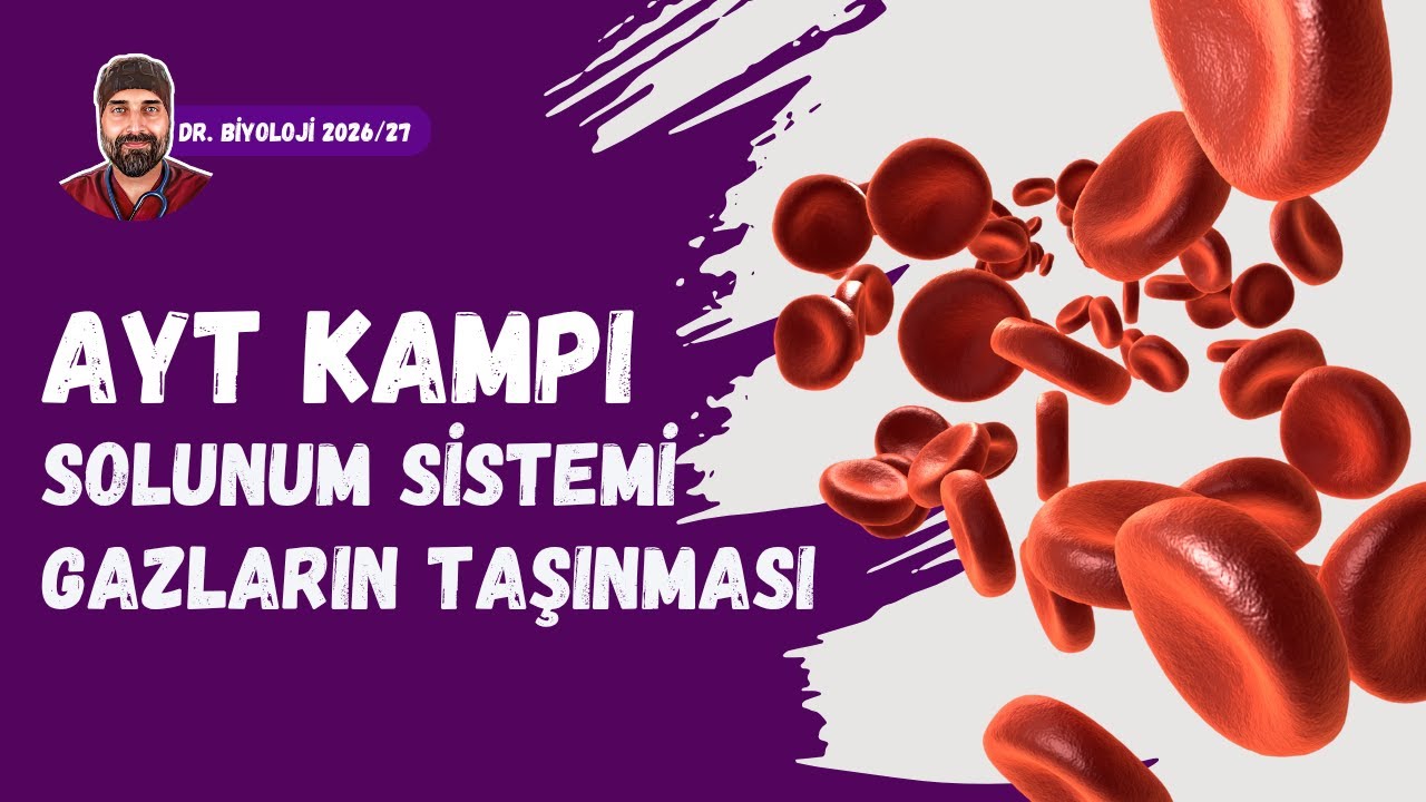 Solunum Sistemi Gazların Taşınması | Dr. Biyoloji | AYT Dönem 2026 - 2027