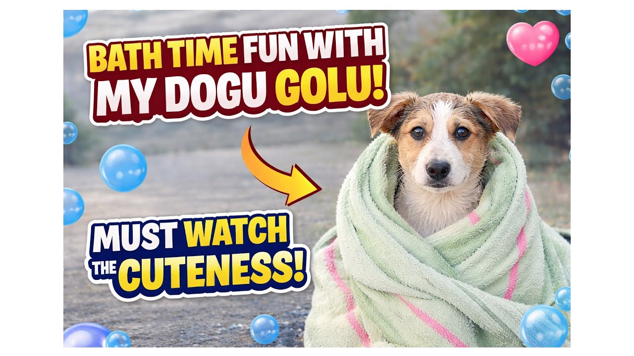 “Mera Golu aur uska bath time drama 🐕🛁 | Too Cute!”