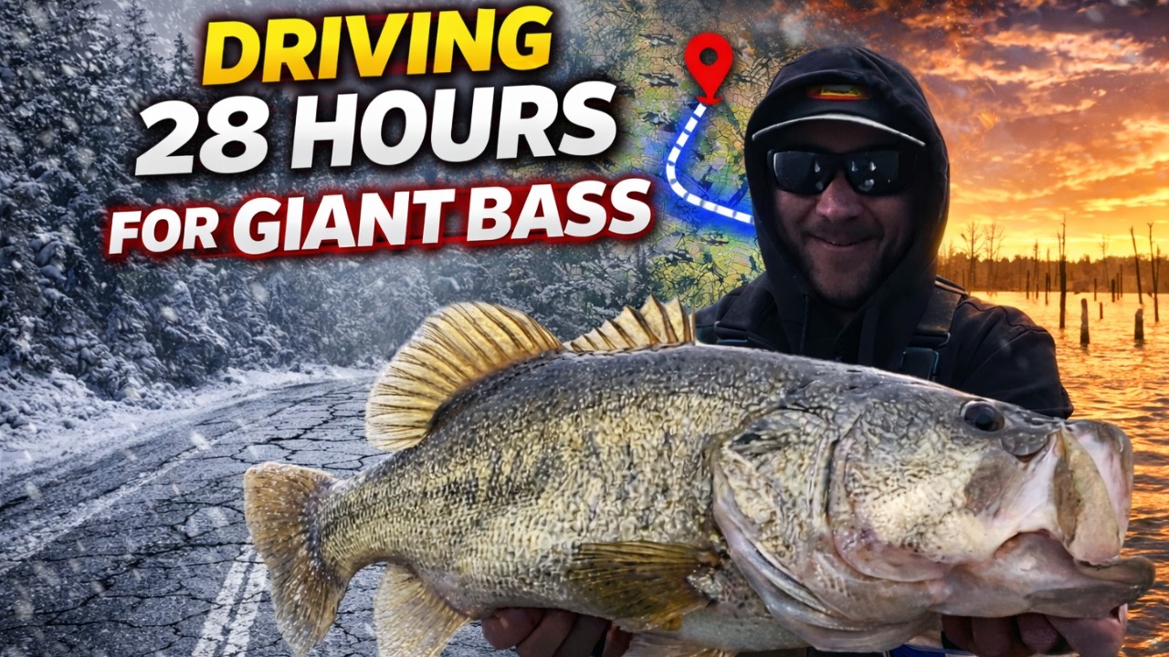 1500 Mile Adventure For Giant Texas Bass