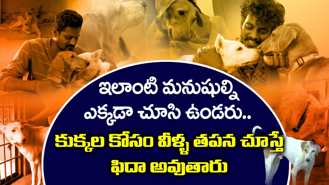 Stray Dog Saviours : Hyderabadi's Devote Life to Stray Animals | T News Exclusive