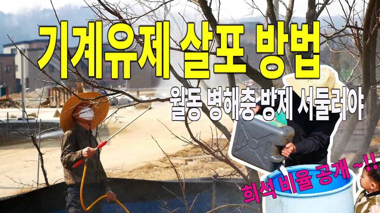 기계유제 살포 방법 (ft. 병해충방제 )