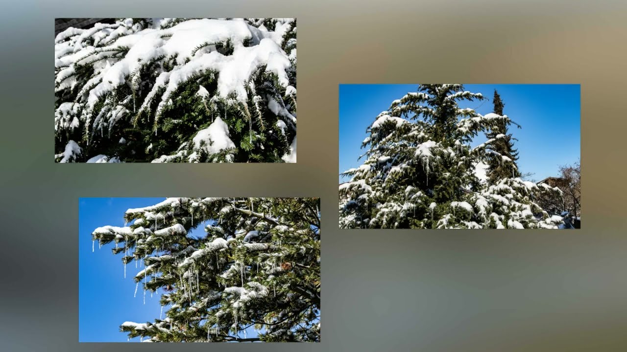 Winter Intemetzo 2021