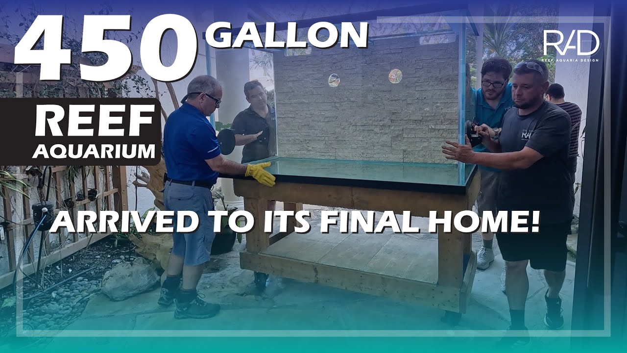 OUR 450-GALLON TANK BEING DELIVERED. THE AQUARIUM A-TEAM IN ACTION. BUILDING A REEF AQUARIUM PART 9