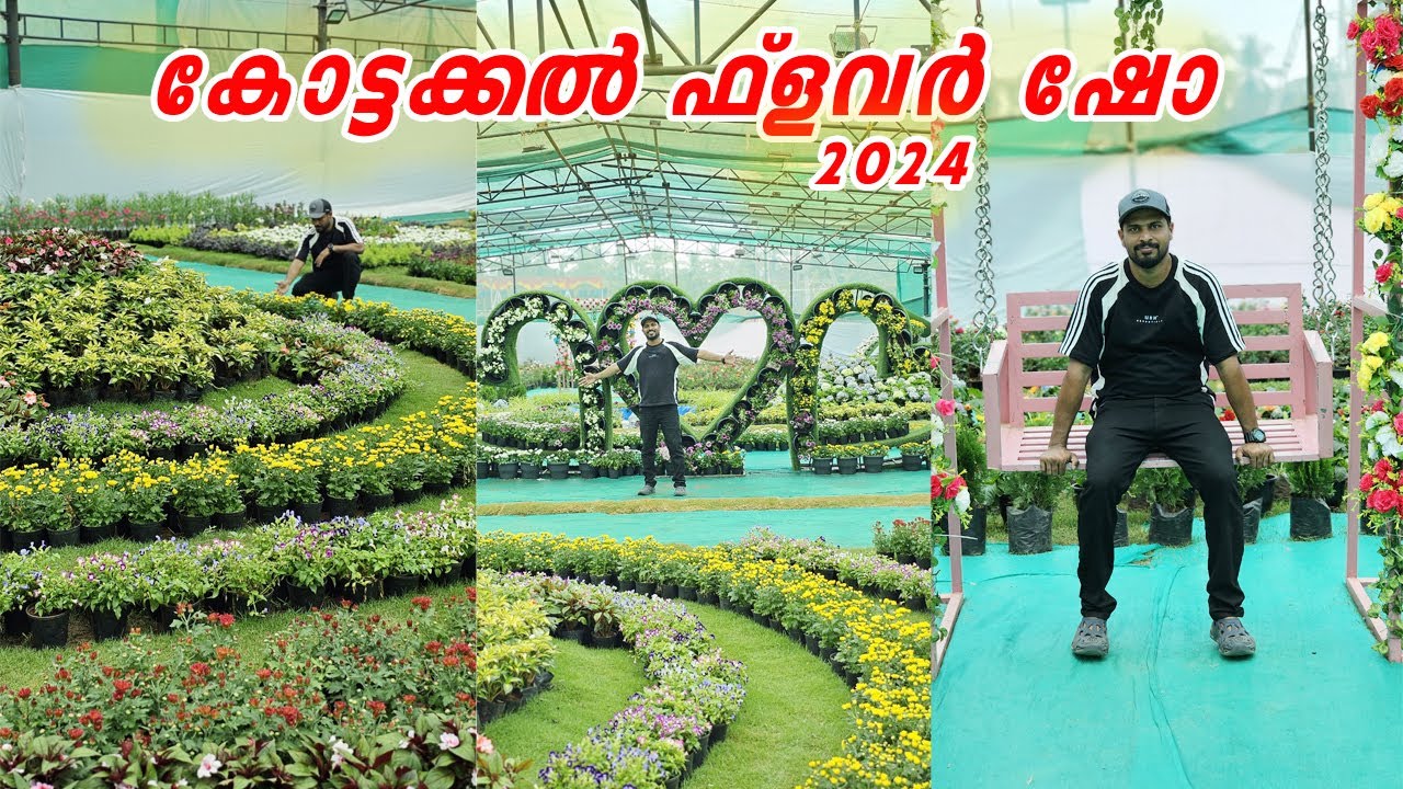 Kottakkal Flower Expo 2024 | ഊട്ടിയിലെ ബൊട്ടാണിക്കൽ ഗാർഡൻ നമ്മുടെ കോട്ടക്കലിൽ