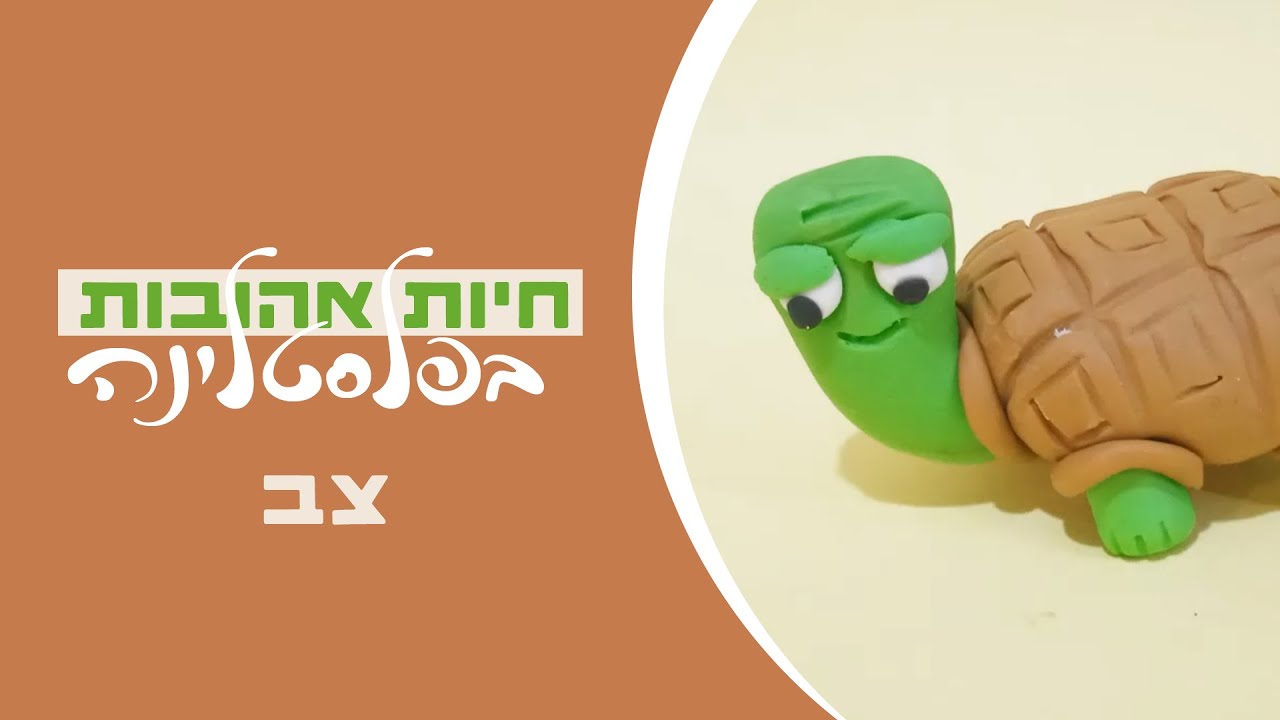 חיות אהובות בפלסטלינה | צב🐢מתוק