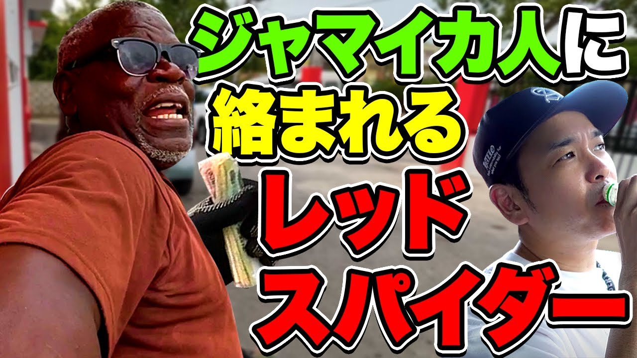 ジャマイカを散策してみたら絡まれた！[vlog]