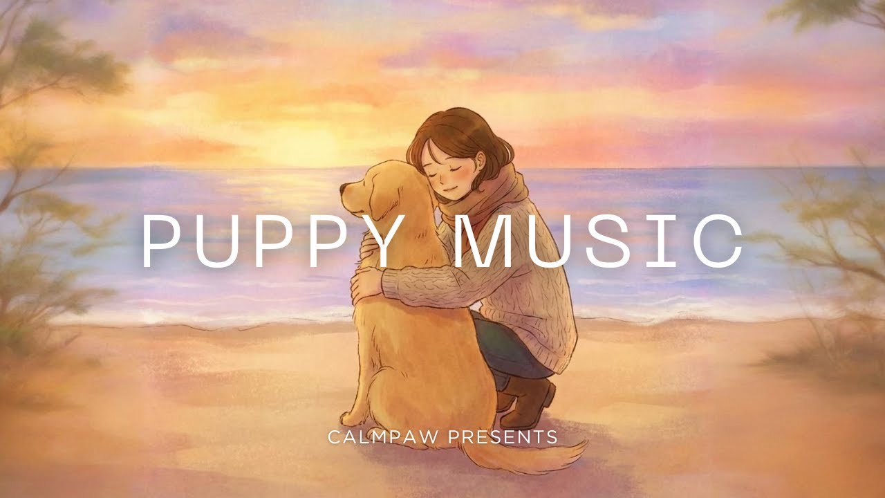 강아지 휴식 음악 90분 | Relaxing Reggae for Dogs: Instrumental Beats for Separation Anxiety 강아지분리불안