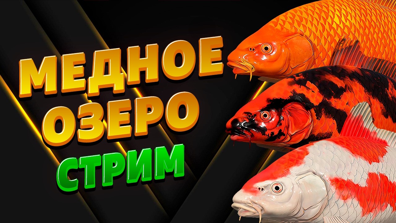 ПРОВЕРЯЕМ ВСЕ ФАРМОВЫЕ ТОЧКИ И КОИ НА МЕДНОМ ОЗЕРЕ! • СТРИМ • Русская Рыбалка 4 РР4