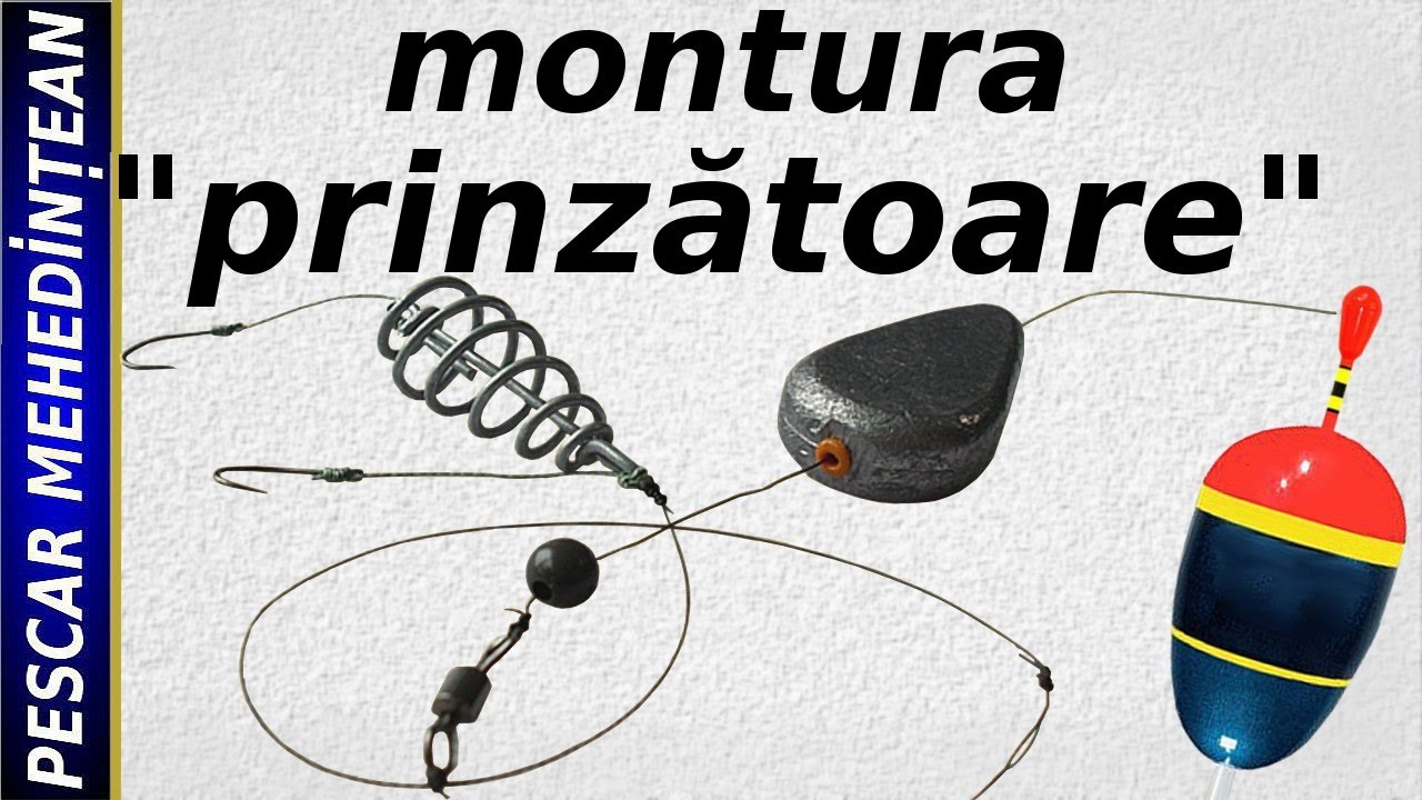 Montura 