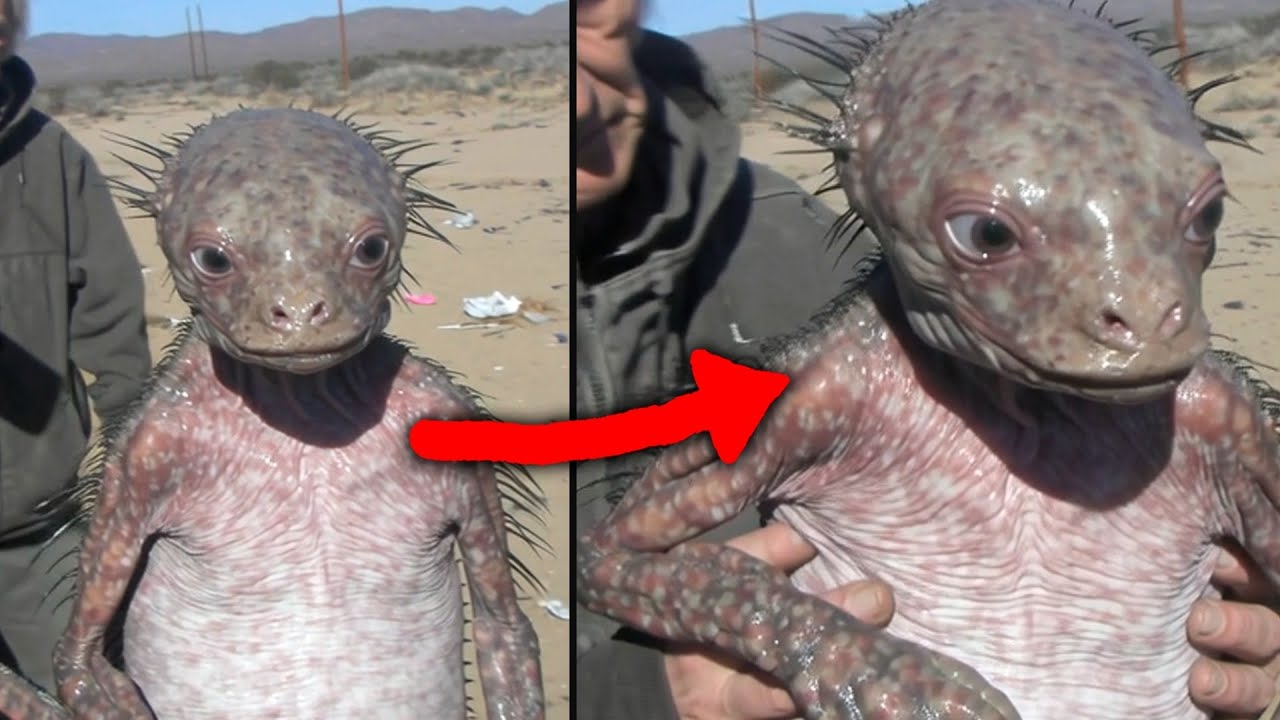 CREEPY Viral Videos Even Skeptics Are Struggling To Explain