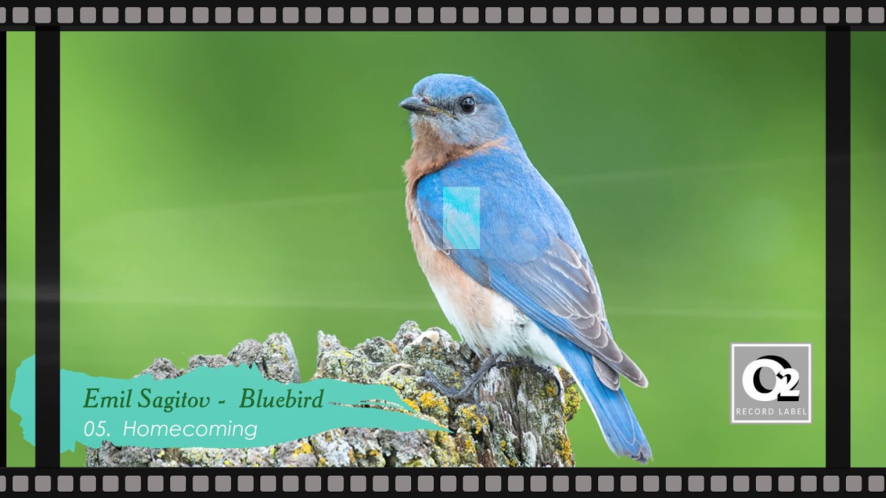 Emil Sagitov - Bluebird (EP)_2014