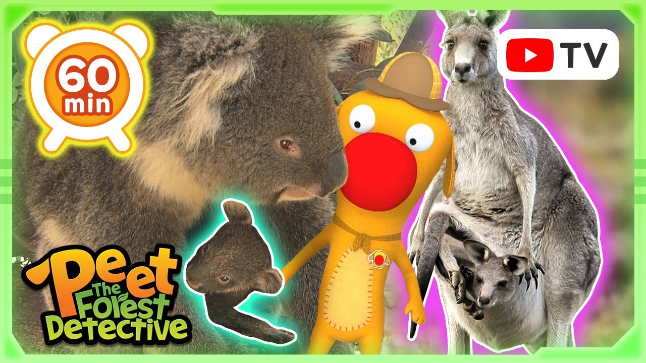 Mama Kangaroo’s Secret Pouch! 🦘🔍  | Animal Stories For Kids | Peet The Forest Detective