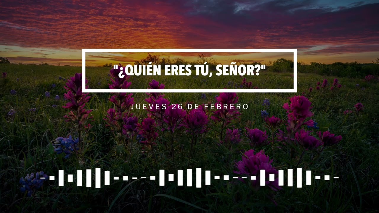 Jueves 26 de febrero: 