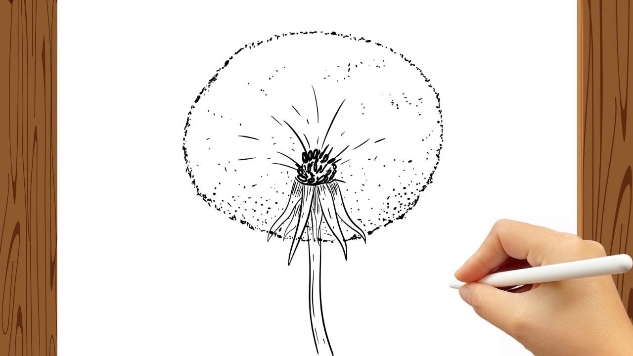 How to Draw Dandelion