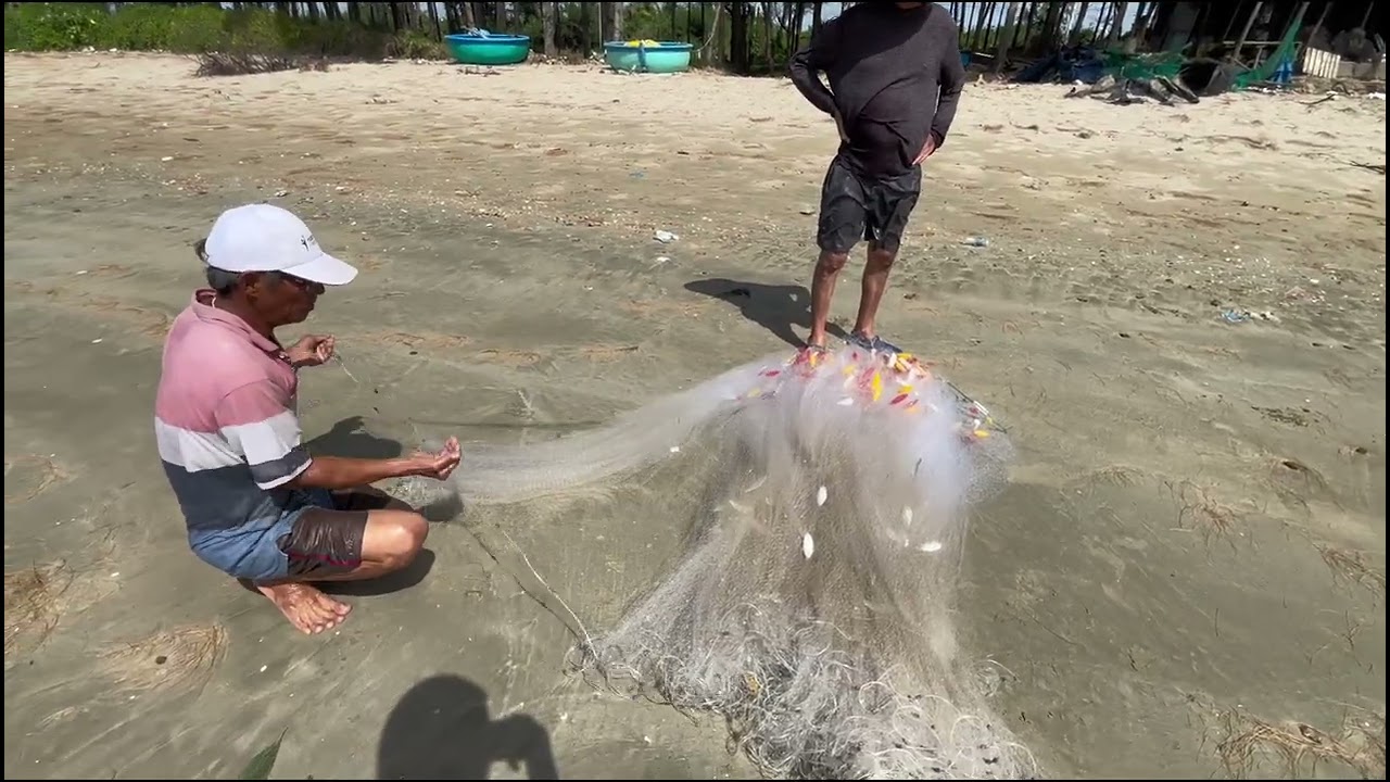 Buổi sáng trên biển quê 