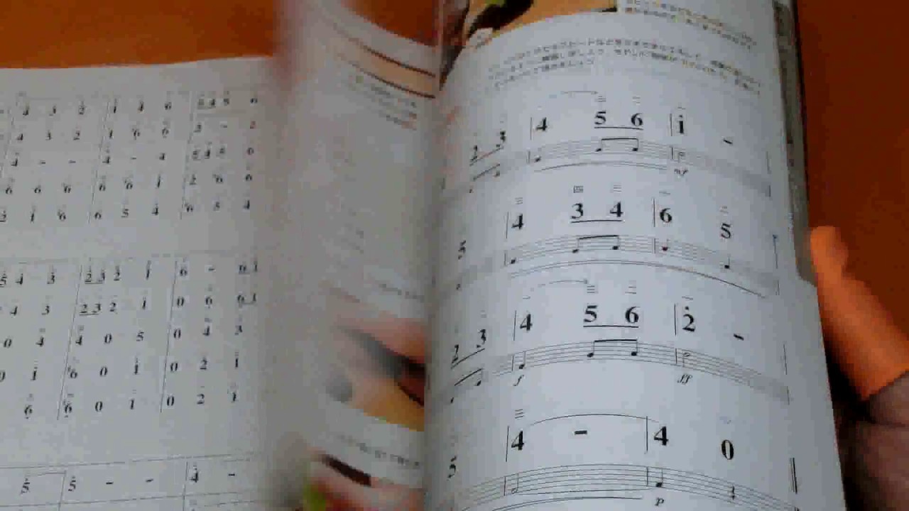 How to enjoy Taishogoto : Traditional Japanese Musical Instruments book #0755